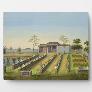 Placa Expositora Jardín de Viveros, c.1820-40 (acuarela sobre papel