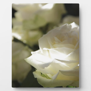Placa Expositora Jardines florales del destino de los flores del ro