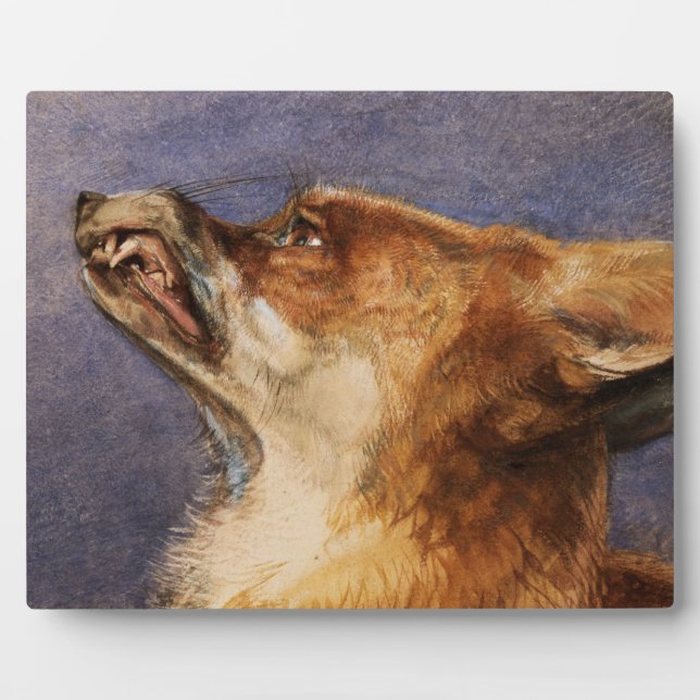 Placa Expositora Jefe de un Fox (Frente)