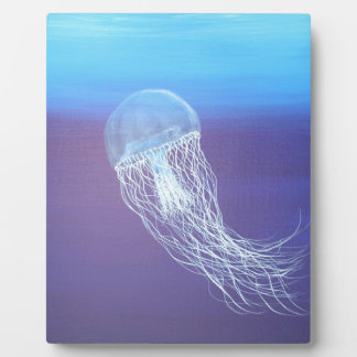 Placa Expositora Jellyfish