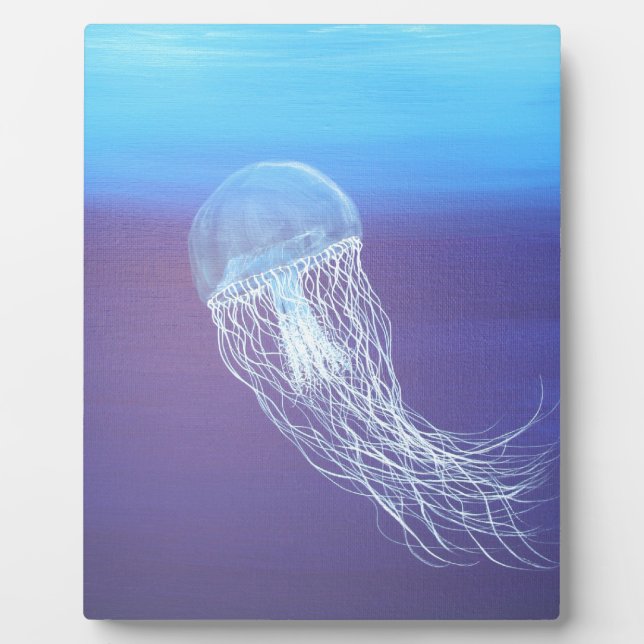 Placa Expositora Jellyfish (Frente)
