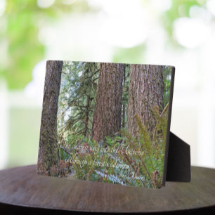 Placa Expositora John Muir Cita Giant Conifer Forest