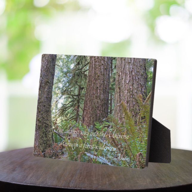 Placa Expositora John Muir Cita Giant Conifer Forest (In Situ Table)