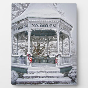 Placa Expositora Juzgado Gazebo en la Nieve