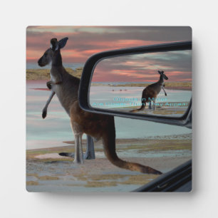Placa Expositora Kangaroo En La Playa,