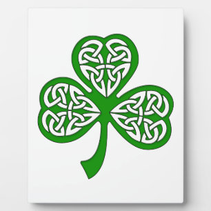 Placa Expositora Knot Shamrock móvil