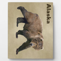 Kodiak Bear En Papel Antiguo