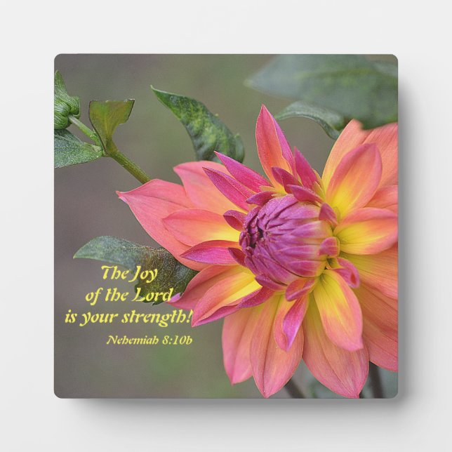 Placa Expositora ¡La Alegría del Señor Es Tu Fuerza! (Frente)