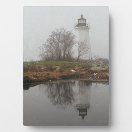 Placa Expositora La baliza en la niebla