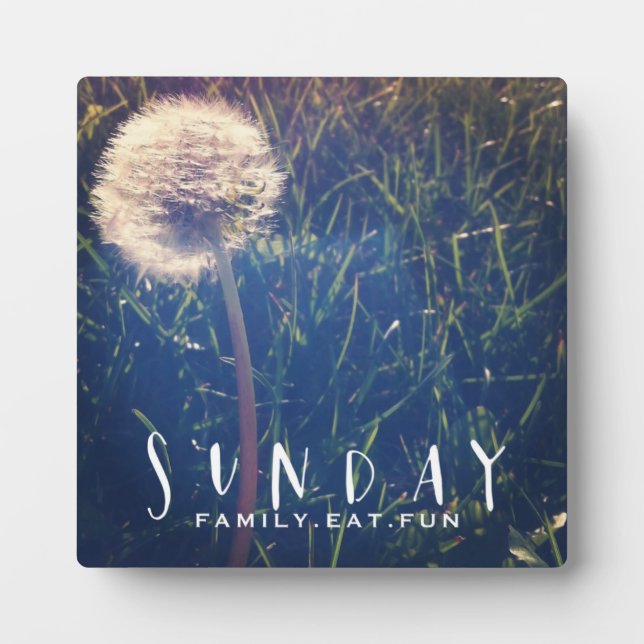 Placa Expositora La familia dominical come diversión (Frente)