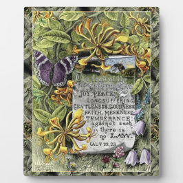 Placa Expositora La Fruta De La Plata Espiritual