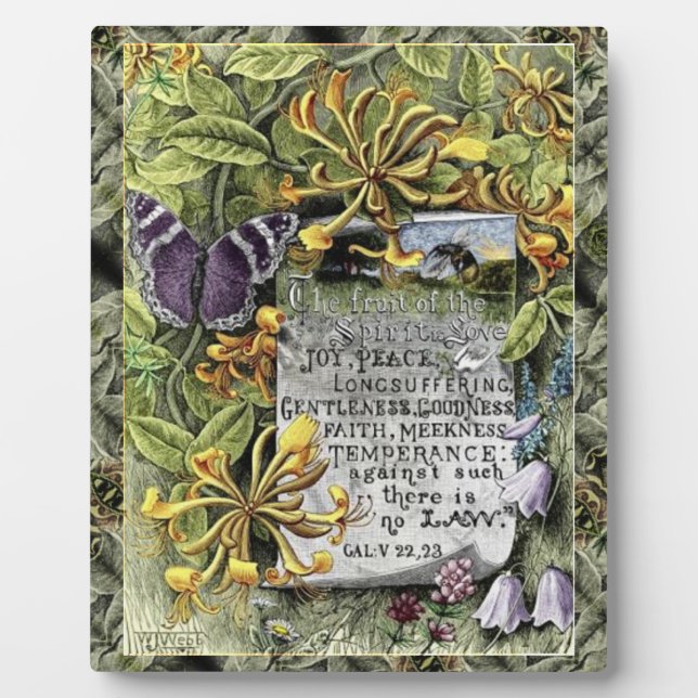 Placa Expositora La Fruta De La Plata Espiritual (Frente)