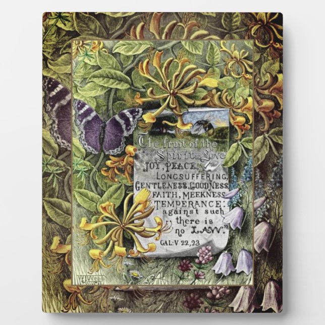 Placa Expositora La Fruta De La Plata Espiritual (Frente)