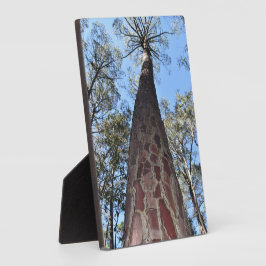 Placa Expositora La Gerche Ponderosa Pine Photo Plaque