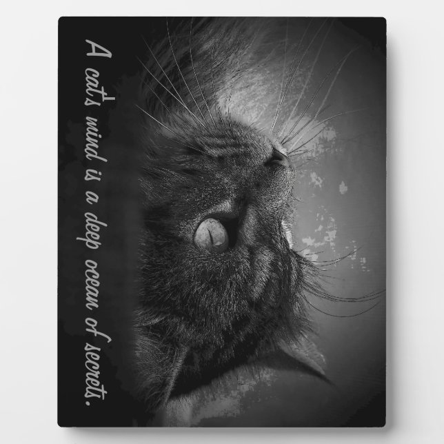 Placa Expositora La mente de un gato es un océano profundo de secre (Frente)