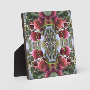 Placa Expositora La naturaleza de las frutas de Dogwood crea su pro