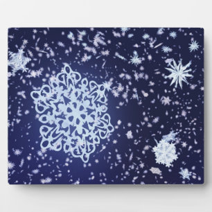 Placa Expositora La noche del invierno largo