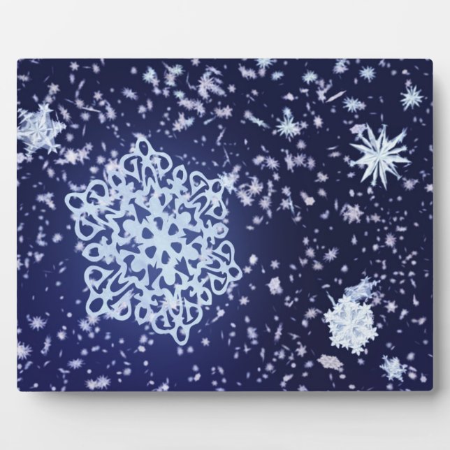 Placa Expositora La noche del invierno largo (Frente)