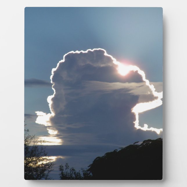 Placa Expositora la nube troncal bloquea el sol (Frente)