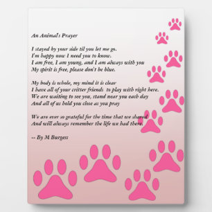 Placa Expositora La oración de un animal -