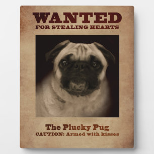 Placa Expositora La Plaque de Pug