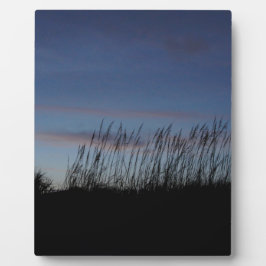 Placa Expositora La puesta de sol en la playa