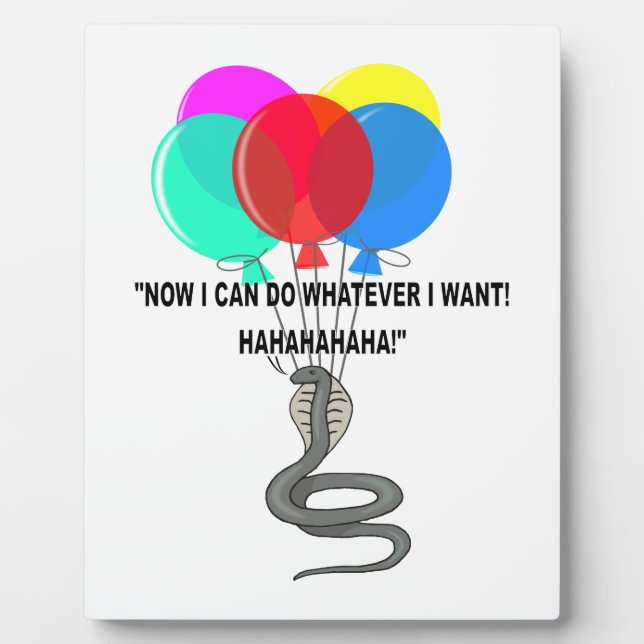 Placa Expositora La serpiente voladora (Frente)