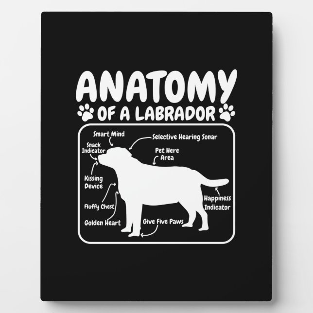 Placa Expositora Labrador Dog Anatomy (Frente)