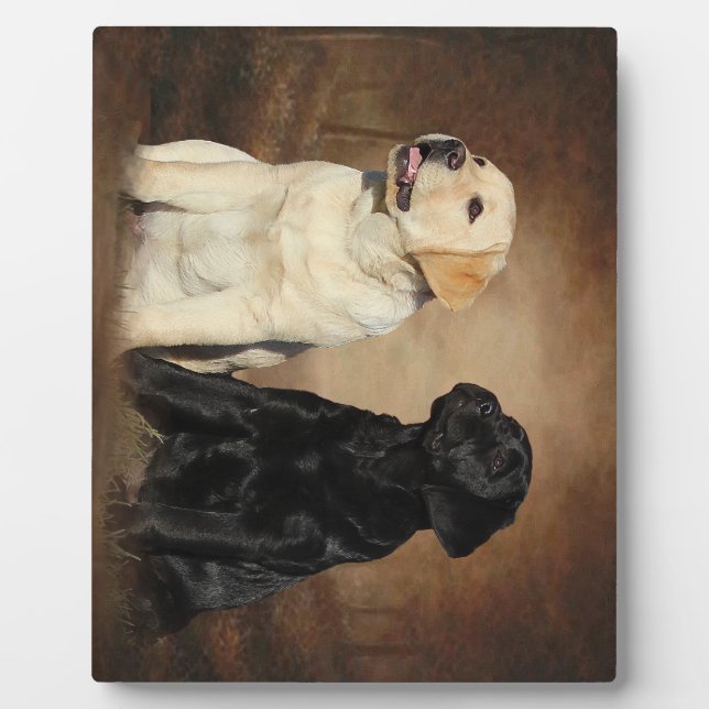 Placa Expositora Labrador Recuperar Plaque Con Easel (Frente)