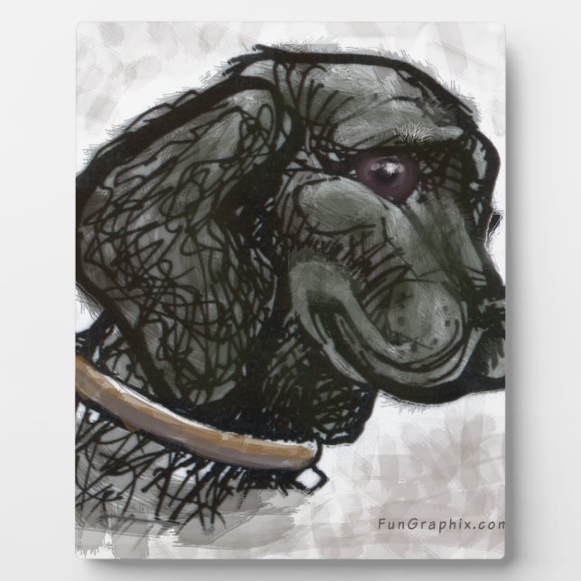 Placa Expositora Labrador Retriever (Frente)