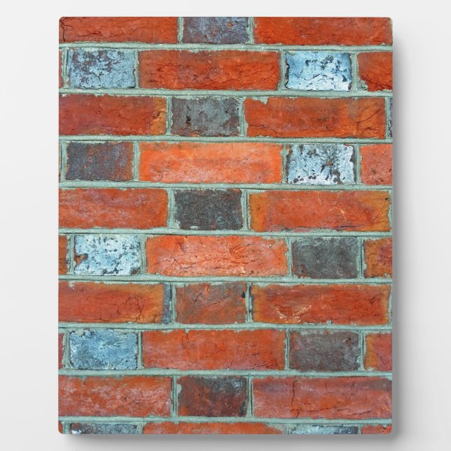 Placa Expositora Ladrillo (Frente)