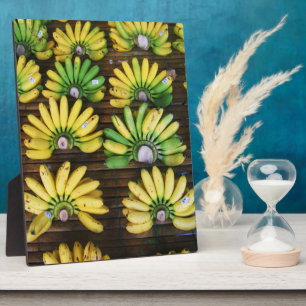 Placa Expositora Lady Finger Bananas ~ Huevo Banana (ก ล้ ว ย ไ ข่)
