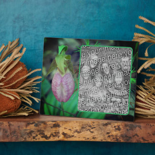 Placa Expositora Lady Slipper Orchid Crea tu propia foto