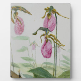 Placa Expositora Lady Slippers