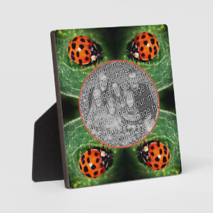 Placa Expositora Ladybug En Leaf Crea Tu Propia Foto