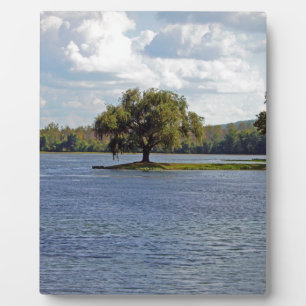 Placa Expositora Lago Iron Mountain