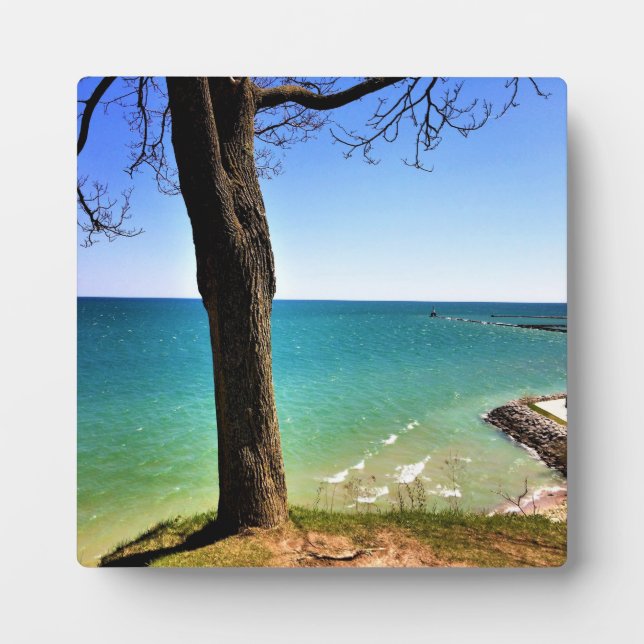 Placa Expositora Lago Michigan, Puerto Washington, Wisconsin (Frente)