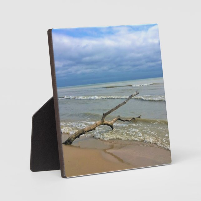 Placa Expositora Lago Michigan, Sheboygan, Wisconsin (Anverso)