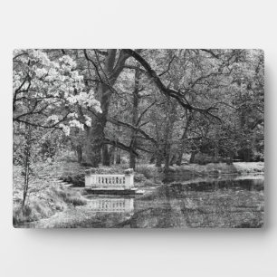 Placa Expositora Lago romántico