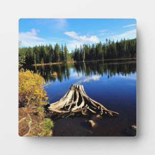 Placa Expositora Lago Trillium, OR