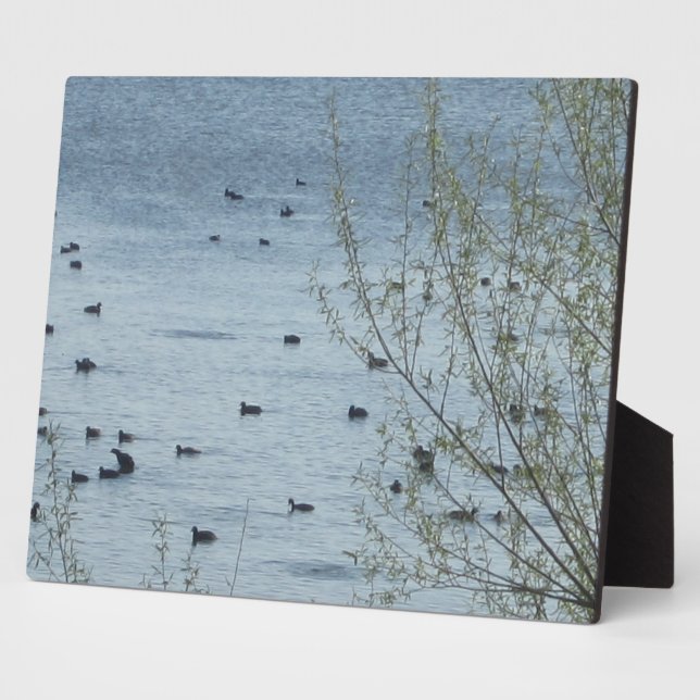 Placa Expositora Laguna Birds Plaque (Lado)