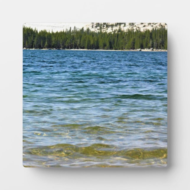 Placa Expositora Laguna de Tenaya, Yosemite, CA (Frente)