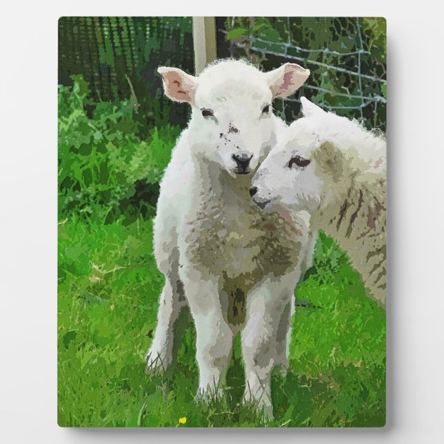 PLACA EXPOSITORA LÁMPARAS DE PRIMAVERA (Frente)