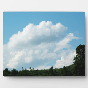 Placa Expositora Las nubes se encuentran con los árboles
