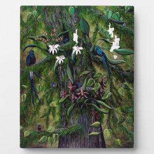 Placa Expositora Las selvas de Tikal