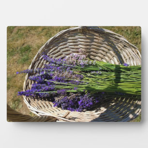 Placa Expositora Lavanda en una cesta