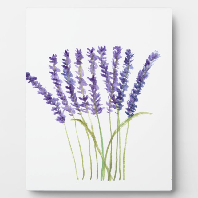 Placa Expositora Lavender acuarela flores moradas hierbas florales (Frente)