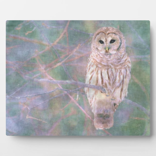 Placa Expositora Lechuza Barrada Pastel Oilpainting (Frente)