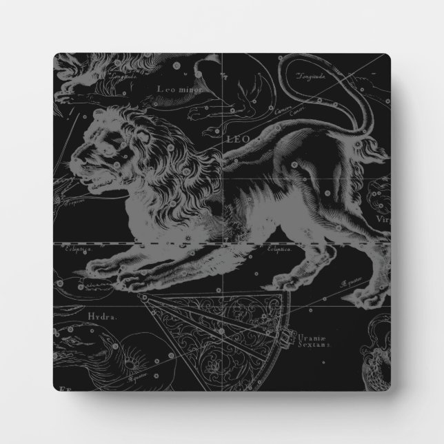 Placa Expositora Leo Constellation Hevelius 1690 Julio23 - Agosto 2 (Frente)