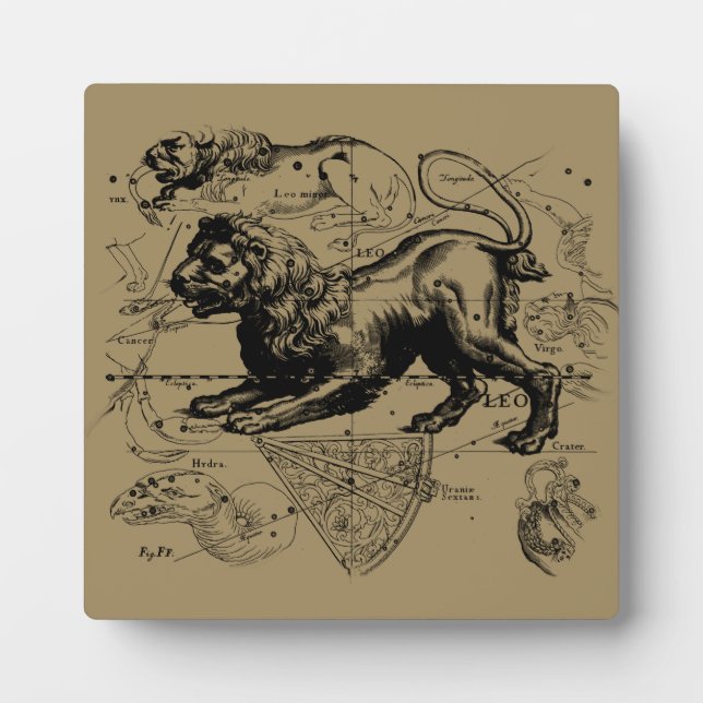 Placa Expositora Leo Constellation Map Hevelius 1690 en Taupe (Frente)